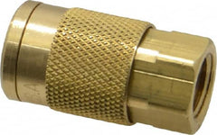 Coilhose Pneumatics - 1/4 Female NPT Acme Pneumatic Hose Coupler - Brass, 1/4" Body Diam - Americas Industrial Supply