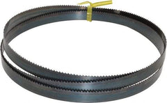 Starrett - 10 TPI, 5' Long x 1/2" Wide x 0.025" Thick, Welded Band Saw Blade - Carbon Steel, Toothed Edge, Raker Tooth Set, Flexible Back, Contour Cutting - Americas Industrial Supply