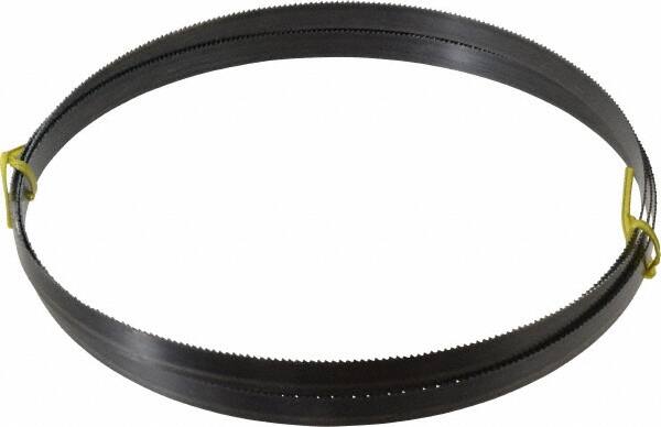 Starrett - 10 TPI, 8' 2-1/2" Long x 5/8" Wide x 0.032" Thick, Welded Band Saw Blade - Carbon Steel, Toothed Edge, Raker Tooth Set, Flexible Back, Contour Cutting - Americas Industrial Supply
