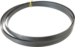 Starrett - 10 TPI, 14' 6" Long x 3/4" Wide x 0.032" Thick, Welded Band Saw Blade - Carbon Steel, Toothed Edge, Raker Tooth Set, Flexible Back, Contour Cutting - Americas Industrial Supply