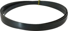 Starrett - 10 TPI, 14' 8" Long x 3/4" Wide x 0.032" Thick, Welded Band Saw Blade - Carbon Steel, Toothed Edge, Raker Tooth Set, Flexible Back, Contour Cutting - Americas Industrial Supply