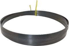 Starrett - 10 TPI, 5' 5" Long x 1/2" Wide x 0.025" Thick, Welded Band Saw Blade - Carbon Steel, Toothed Edge, Raker Tooth Set, Flexible Back, Contour Cutting - Americas Industrial Supply