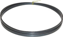 Starrett - 14 TPI, 14' 7" Long x 1/2" Wide x 0.025" Thick, Welded Band Saw Blade - Carbon Steel, Toothed Edge, Raker Tooth Set, Flexible Back, Contour Cutting - Americas Industrial Supply