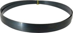 Starrett - 14 TPI, 9' 7" Long x 3/4" Wide x 0.032" Thick, Welded Band Saw Blade - Carbon Steel, Toothed Edge, Raker Tooth Set, Flexible Back, Contour Cutting - Americas Industrial Supply