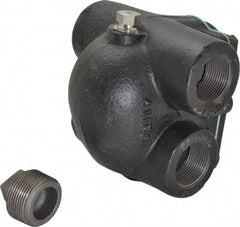 Watts - 4 Port, 1-1/4" Pipe, Cast Iron Float & Thermostatic Steam Trap - 30 Max psi - Americas Industrial Supply