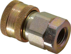 Parker - 1/4 Thread Steel Hydraulic Hose Valved Coupler - 6,500 psi, 8 GPM - Americas Industrial Supply