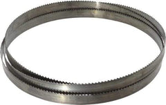 Disston - 6 TPI, 7' 9" Long x 3/4" Wide x 0.032" Thick, Welded Band Saw Blade - Carbon Steel, Toothed Edge, Raker Tooth Set, Flexible Back, Contour Cutting - Americas Industrial Supply