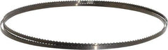 Disston - 6 TPI, 7' 9-1/2" Long x 1/4" Wide x 0.025" Thick, Welded Band Saw Blade - Carbon Steel, Toothed Edge, Raker Tooth Set, Flexible Back, Contour Cutting - Americas Industrial Supply