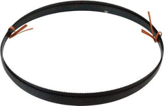 Disston - 10 TPI, 8' 9" Long x 1/2" Wide x 0.025" Thick, Welded Band Saw Blade - Carbon Steel, Toothed Edge, Raker Tooth Set, Flexible Back, Contour Cutting - Americas Industrial Supply
