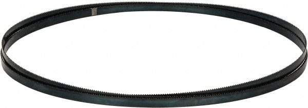 Disston - 10 TPI, 12' 6" Long x 1/2" Wide x 0.025" Thick, Welded Band Saw Blade - Carbon Steel, Toothed Edge, Raker Tooth Set, Flexible Back, Contour Cutting - Americas Industrial Supply