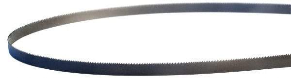 Lenox - 10 to 14 TPI, 6' 8-1/2" Long x 3/8" Wide x 0.025" Thick, Welded Band Saw Blade - M42, Bi-Metal, Toothed Edge - Americas Industrial Supply