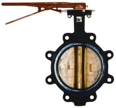 Legend Valve - 8" Pipe, Lug Butterfly Valve - Lever Handle, Cast Iron Body, EPDM Seat, 200 WOG, Aluminum Bronze Disc, Stainless Steel Stem - Americas Industrial Supply