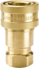Parker - 1 NPTF Brass Hydraulic Hose Female Pipe Thread Coupler - 1,000 psi, 50 GPM - Americas Industrial Supply
