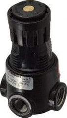 Wilkerson - 1/4 NPT Port, 15 CFM, Zinc Miniature Regulator - 2 to 125 psi Range, 300 Max psi Supply Pressure, 1/8" Gauge Port Thread, 1.65" Wide x 2.88" High - Americas Industrial Supply