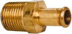 Parker - 1/2 NPT Thread Hose Barb x Male NPT Connector - 1/2" ID Hose, Brass - Americas Industrial Supply