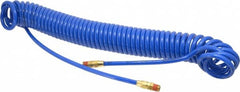 Coilhose Pneumatics - 1/4" ID, 1/4 Thread, 30' Long, Blue Polyurethane Coiled & Self Storing Hose - 125 Max psi, Male Swivel x Male Swivel - Americas Industrial Supply