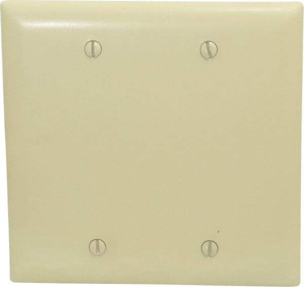 Pass & Seymour - 2 Gang, 4-3/4 Inch Long x 4-11/16 Inch Wide, Standard Blank Wall Plate - Blank, Ivory, Nylon - Americas Industrial Supply