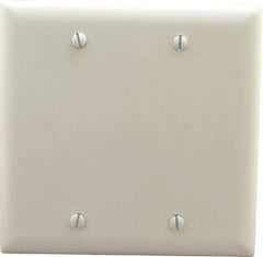 Pass & Seymour - 2 Gang, 4-3/4 Inch Long x 4-11/16 Inch Wide, Standard Blank Wall Plate - Blank, White, Nylon - Americas Industrial Supply