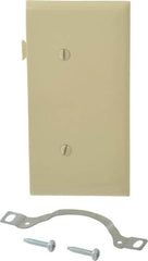 Pass & Seymour - 1 Gang, 4.9062 Inch Long x 2.4687 Inch Wide, Blank Wall Plate - Blank, Ivory, Nylon - Americas Industrial Supply