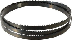 Disston - 6 TPI, 5' 4-1/2" Long x 1/2" Wide x 0.025" Thick, Welded Band Saw Blade - Carbon Steel, Toothed Edge, Raker Tooth Set, Hard Back, Contour Cutting - Americas Industrial Supply
