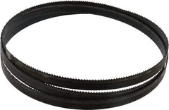 Disston - 10 TPI, 5' 4-1/2" Long x 1/2" Wide x 0.025" Thick, Welded Band Saw Blade - Carbon Steel, Toothed Edge, Raker Tooth Set, Hard Back, Contour Cutting - Americas Industrial Supply