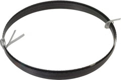 Disston - 10 TPI, 7' 5" Long x 1/2" Wide x 0.025" Thick, Welded Band Saw Blade - Carbon Steel, Toothed Edge, Raker Tooth Set, Hard Back, Contour Cutting - Americas Industrial Supply