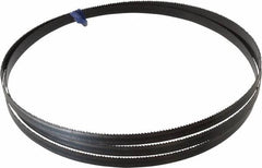 Disston - 10 TPI, 7' 9-1/2" Long x 1/2" Wide x 0.025" Thick, Welded Band Saw Blade - Carbon Steel, Toothed Edge, Raker Tooth Set, Hard Back, Contour Cutting - Americas Industrial Supply