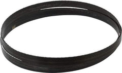 Disston - 10 TPI, 8' Long x 3/4" Wide x 0.032" Thick, Welded Band Saw Blade - Carbon Steel, Toothed Edge, Raker Tooth Set, Hard Back, Contour Cutting - Americas Industrial Supply
