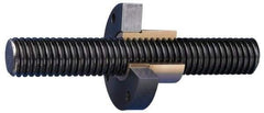 Keystone Threaded Products - 3/8-10 Acme, 3' Long, Alloy Steel Precision Acme Threaded Rod - Right Hand Thread, 2C Fit - Americas Industrial Supply