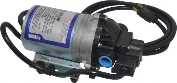 Pentair - 1/10 HP, 3/8 Inlet Size, 3/8 Outlet Size, Demand Switch, Diaphragm Spray Pump - 115 Input Voltage, Polypropylene, 1.40 Max GPM - Americas Industrial Supply