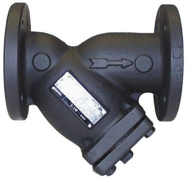 Legend Valve - 5" Pipe, Flanged Ends, Cast Iron Y-Strainer - 200 psi WOG Rating, 150 psi WSP Rating - Americas Industrial Supply