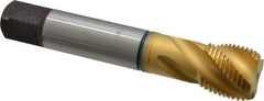 Guhring - 1-12 UNF 4 Flute 2B Modified Bottoming Spiral Flute Tap - Cobalt, TiN Finish, 5-1/8" OAL, Right Hand Flute, Right Hand Thread, Series 3923 - Americas Industrial Supply
