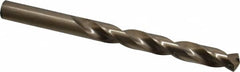 Triumph Twist Drill - 31/64" 135° Cobalt Jobber Drill - Oxide/Gold Finish, Right Hand Cut, Spiral Flute, Straight Shank, 5-7/8" OAL, Split Point - Americas Industrial Supply