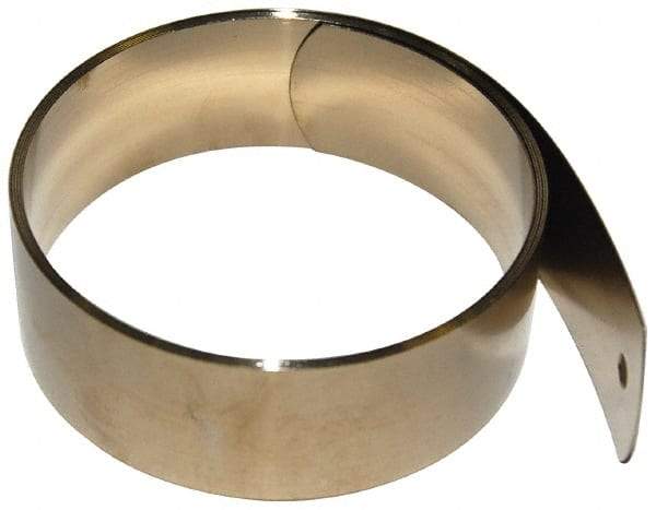 Gardner Spring - 0.01" Thick x 36" Long, 0.75 Lb Capacity Constant Force Spring - 0.68" Wide, 1.88" ID of Reflection, 3.38" Initial Extension, 0.187" End Hole Diam - Americas Industrial Supply