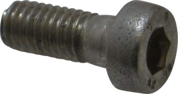 Value Collection - M5x0.80 Metric Coarse Hex Socket Drive, Low Socket Cap Screw - Grade 18-8 & Austenitic A2 Stainless Steel, Uncoated, Fully Threaded, 12mm Length Under Head - Americas Industrial Supply