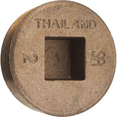 Merit Brass - Class 125, 2" Internal Pipe, Brass Countersunk Plug - MNPT - Americas Industrial Supply