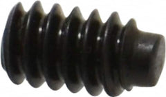 Value Collection - #6-32 UNC, 1/4" OAL, Half Dog Point Set Screw - Grade 8 Alloy Steel, 1/16" Key - Americas Industrial Supply