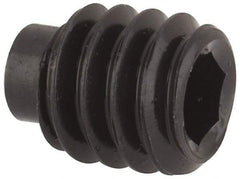 Value Collection - 1/4-20 UNC, 5/16" OAL, Half Dog Point Set Screw - Grade 8 Alloy Steel, 1/8" Key - Americas Industrial Supply