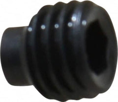 Value Collection - 1/4-28 UNF, 1/4" OAL, Half Dog Point Set Screw - Grade 8 Alloy Steel, 1/8" Key - Americas Industrial Supply