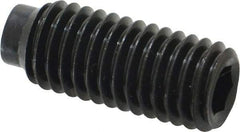 Value Collection - 1/2-13 UNC, 1-1/4" OAL, Half Dog Point Set Screw - Grade 8 Alloy Steel, 1/4" Key - Americas Industrial Supply