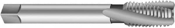 Emuge - 1-1/4 - 12 UNF 4 Flute 3BX Modified Bottoming Spiral Flute Tap - Cobalt, Oxide Finish, 5.906" OAL, Right Hand Flute, Right Hand Thread, Series Rekord D-Ti - Americas Industrial Supply