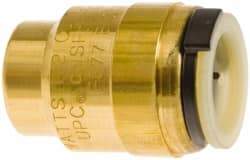 Watts - 3/4" Outside Diam, Lead Free Brass Push-to-Connect Tube End Stop - 250 Max psi, Tube Connection, EPDM O-Ring, Lead-Free - Americas Industrial Supply