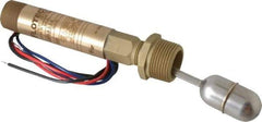 Dwyer - 1" Thread, 200 Max psi, 220°F Max, Liquid Level Float - 0.5 Float SG, Stainless Steel Stem - Americas Industrial Supply