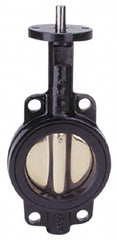 Apollo - 12" Pipe, Lug Butterfly Valve - Bare Stem Handle, Cast Iron Body, Buna-N Seat, 200 WOG, PTFE Disc, Stainless Steel Stem - Americas Industrial Supply