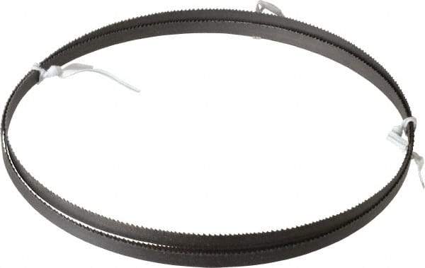 Irwin Blades - 10 to 14 TPI, 6' 10" Long x 3/8" Wide x 0.025" Thick, Welded Band Saw Blade - Bi-Metal, Toothed Edge - Americas Industrial Supply