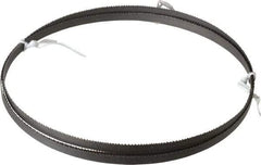 Irwin Blades - 10 to 14 TPI, 6' 10" Long x 3/8" Wide x 0.025" Thick, Welded Band Saw Blade - Bi-Metal, Toothed Edge - Americas Industrial Supply