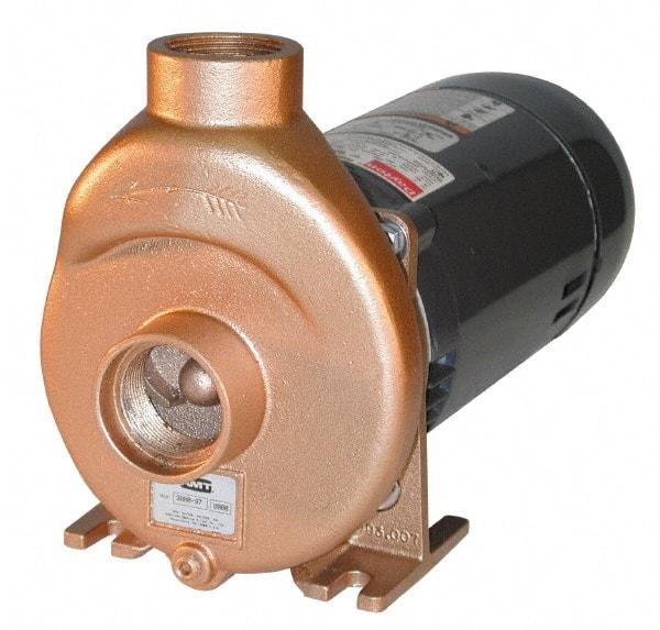 American Machine & Tool - 115/230 Volt, 13/ 7 Amp, 1 Phase, 3/4 HP, Self Priming Spa and Pool Pump - 56J Frame, 1-1/2 Inch Inlet, ODP Motor, Bronze Housing and Impeller, Buna N Seal - Americas Industrial Supply