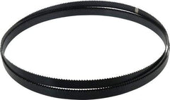 Starrett - 6 TPI, 10' 5" Long x 3/4" Wide x 0.032" Thick, Welded Band Saw Blade - Carbon Steel, Toothed Edge, Raker Tooth Set, Flexible Back, Contour Cutting - Americas Industrial Supply