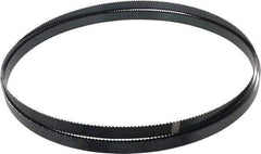 Starrett - 6 TPI, 11' 6" Long x 3/4" Wide x 0.032" Thick, Welded Band Saw Blade - Carbon Steel, Toothed Edge, Raker Tooth Set, Flexible Back, Contour Cutting - Americas Industrial Supply