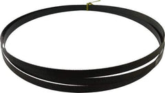 Starrett - 10 TPI, 12' 1" Long x 3/4" Wide x 0.032" Thick, Welded Band Saw Blade - Carbon Steel, Toothed Edge, Raker Tooth Set, Flexible Back, Contour Cutting - Americas Industrial Supply